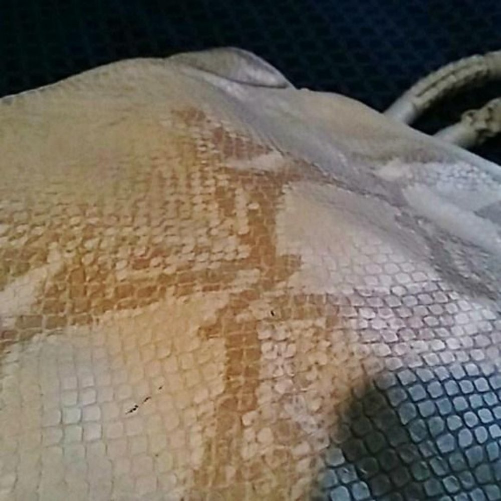 *Final Price* Elie Tahari Regina Python Print Lea… - image 7